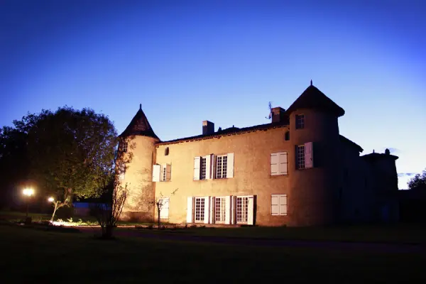 Château de Montrouge - façade