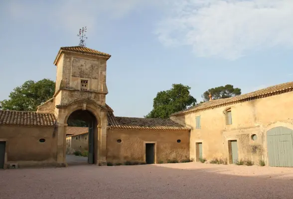 Château de la Mogère - Cour