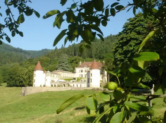 Château de Pramenoux - Lieu de séminaire à Lamure-sur-Azergues (69)