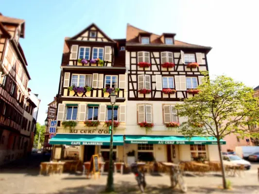 Hotel Restaurant Au Cerf D'Or - Lieu de séminaire à Strasbourg (67)