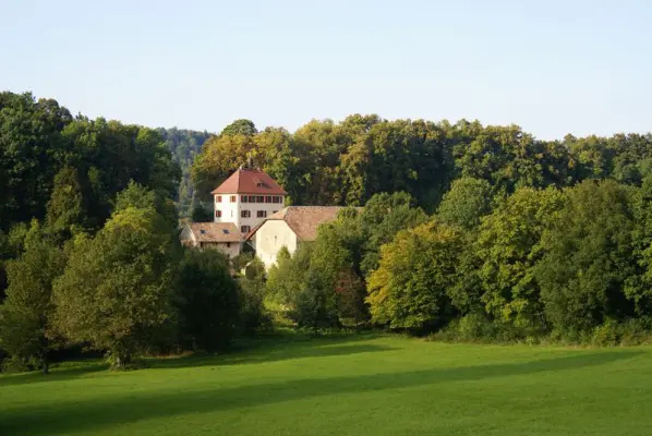Hôtel le Morimont - Lieu de séminaire à Oberlarg (68)