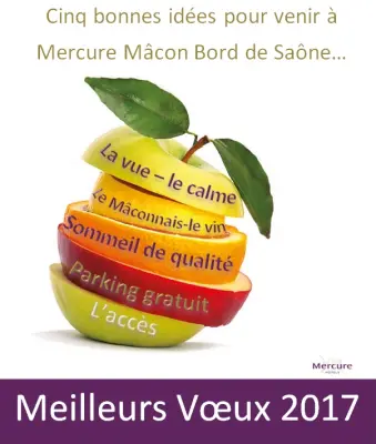 Mercure Macon Bord de Saone - Vœux 2017