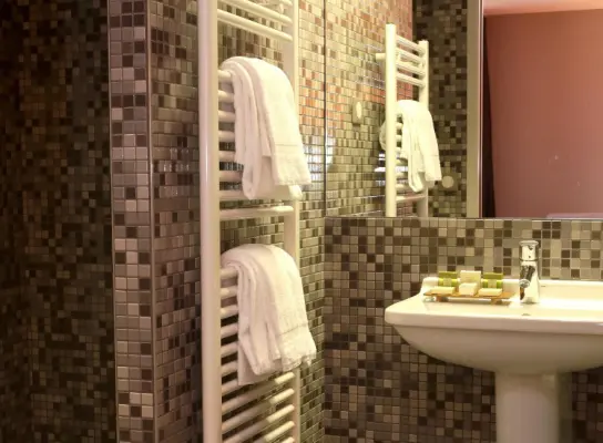 Hôtel  Spa Le Renard - salle de bain