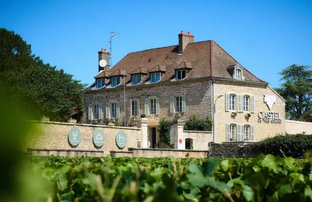 Castel de Très Girard - Lieu de séminaire à Morey-Saint-Denis (21)