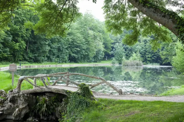 Les étangs de Saint-Aubin - L'étang