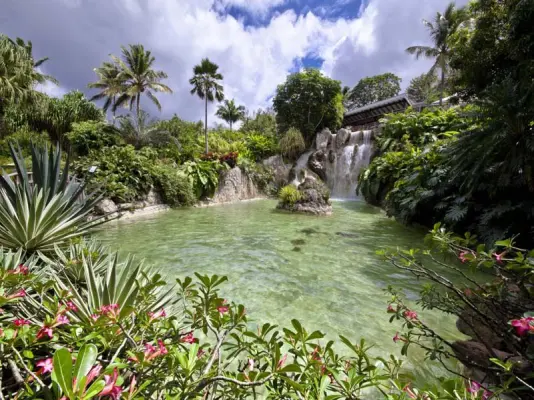 Jardin Botanique de Deshaies - Petit lagon