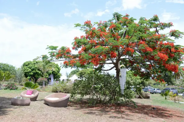 Jouanacaera - Lieu de séminaire en Martinique