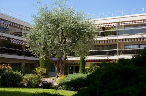 Les Strelitzias - le patio - hotel les strelitzias antibes - juan les pins 