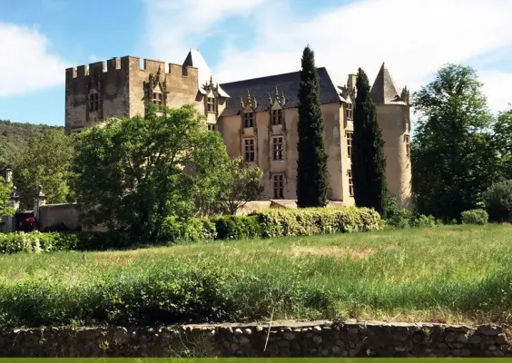 Château d'Allemagne en Provence - Château événementiel