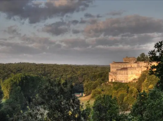 Chateau De La Tranchade - Environnement