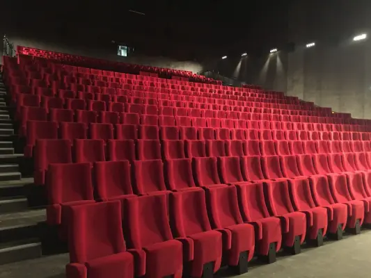 Cinéma Les Arts - Lieu de séminaire à Montivilliers (76)