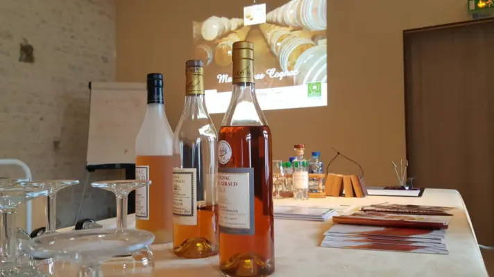 Cognac Tasting Tour - 