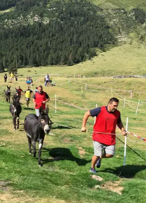 Office des Sports de Montagne - Cohésion d'équipe avec le parcours d'endurance avec les ânes