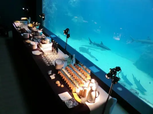 L'Aquarium de Lyon - Organisation d'événements
