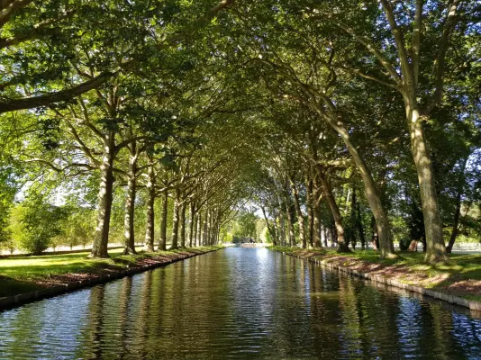Château de Courcelles - Canal