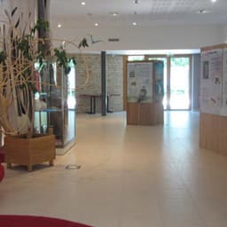Salle