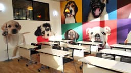 Salle