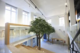 Salle