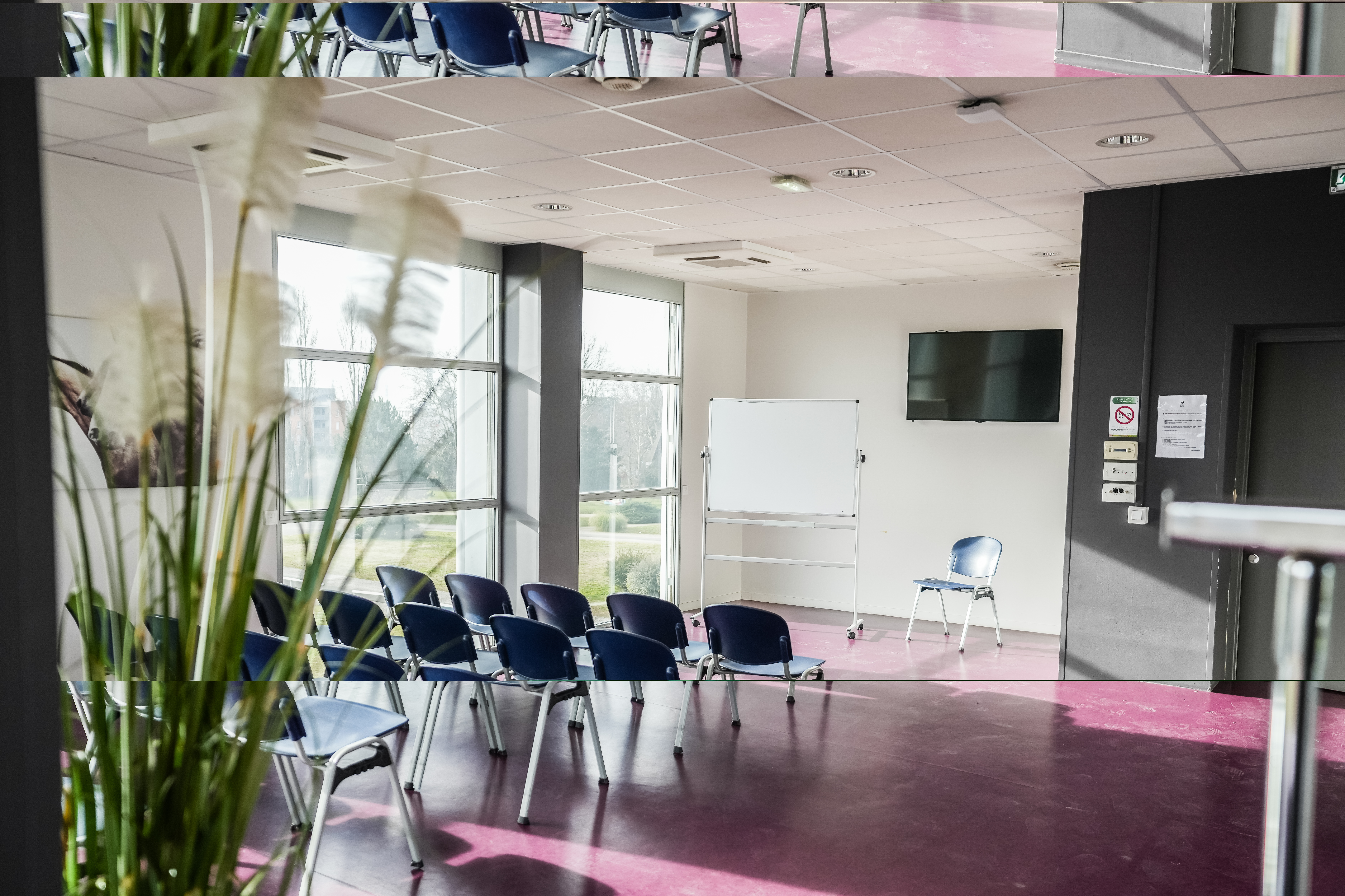 Salle