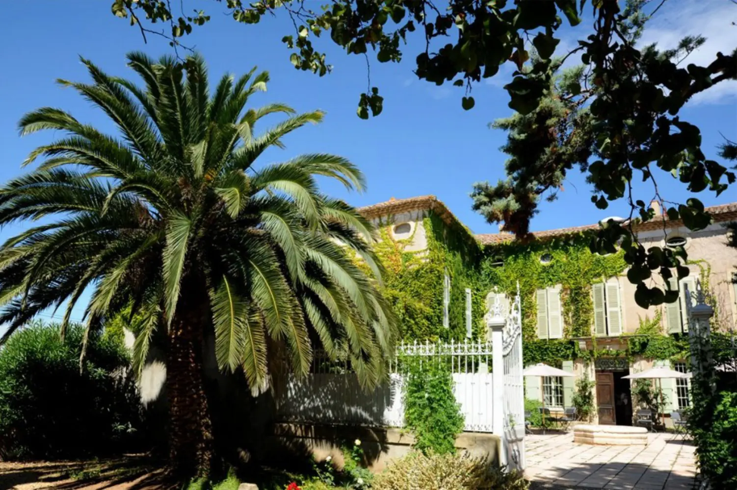 Domaine Fon de Rey - Pomérols (Hérault)