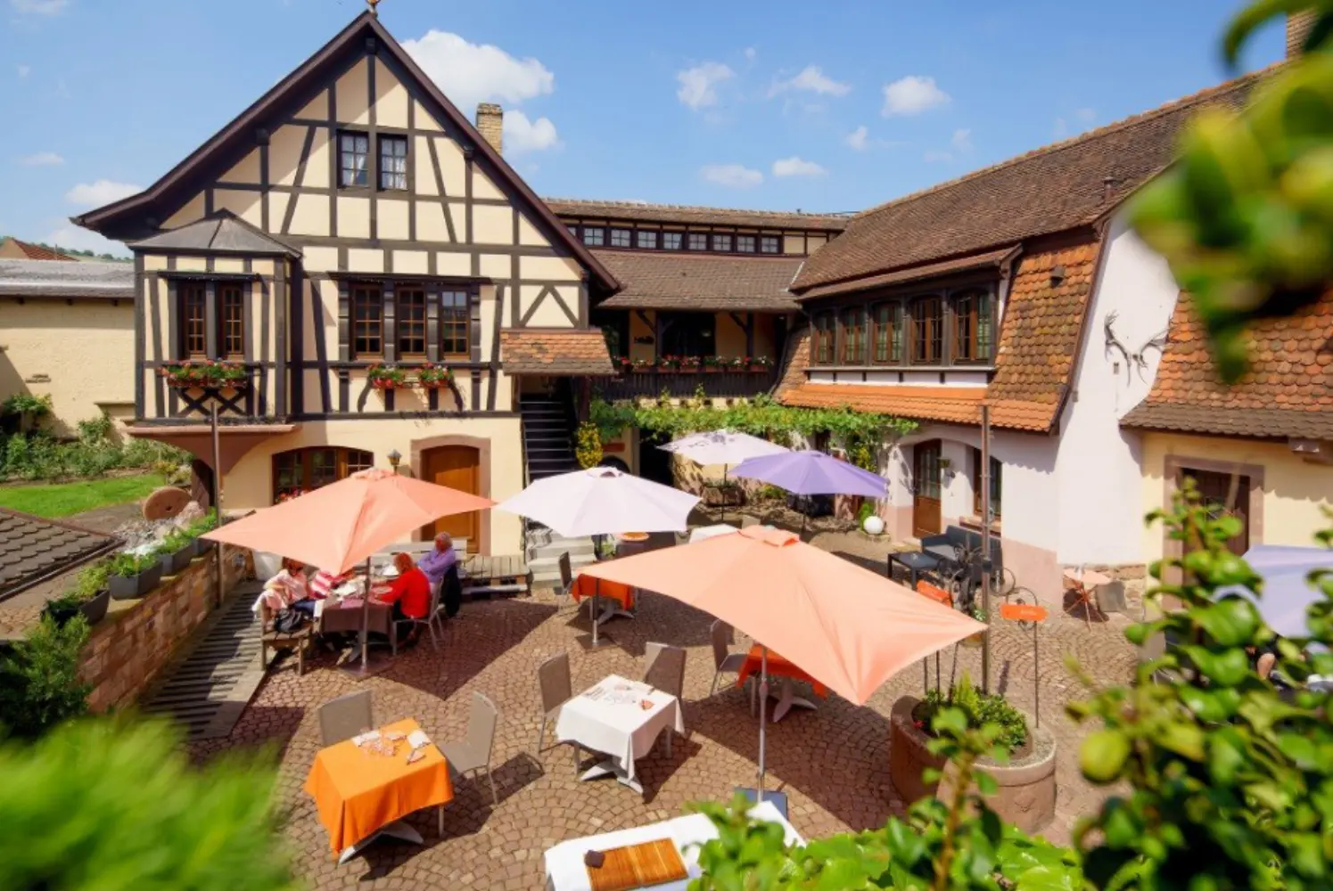 Le Cerf - Marlenheim (Bas-Rhin)