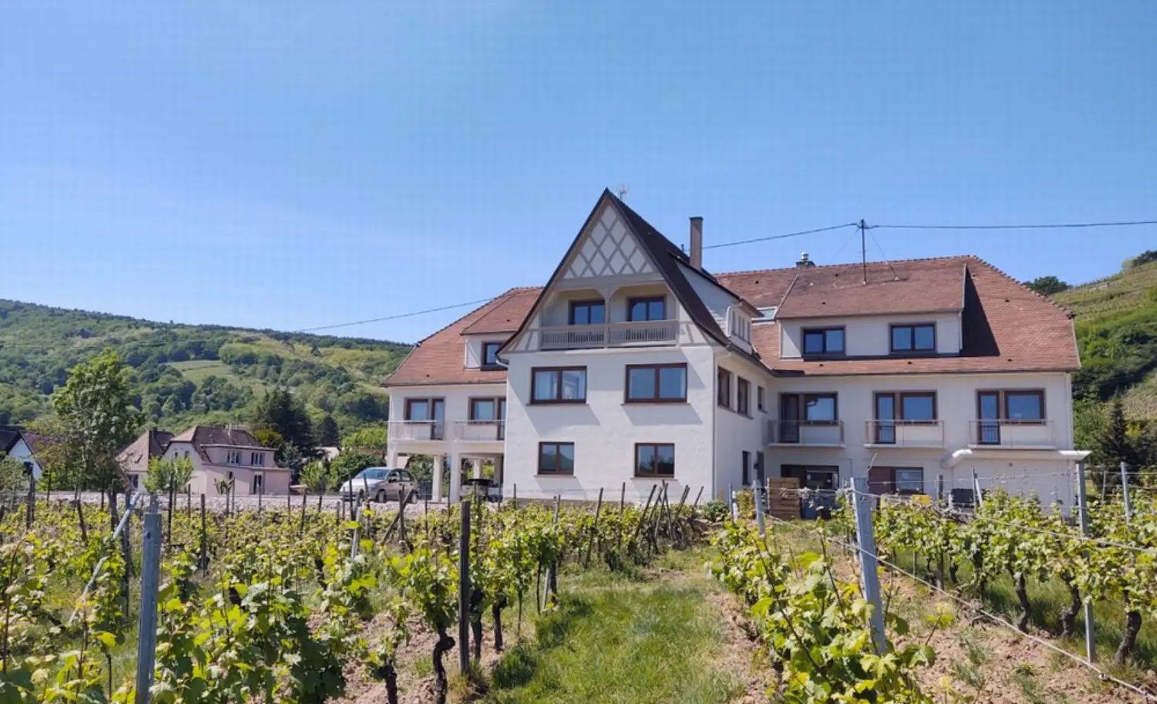 Le Kastelberg - Andlau (Bas-Rhin)