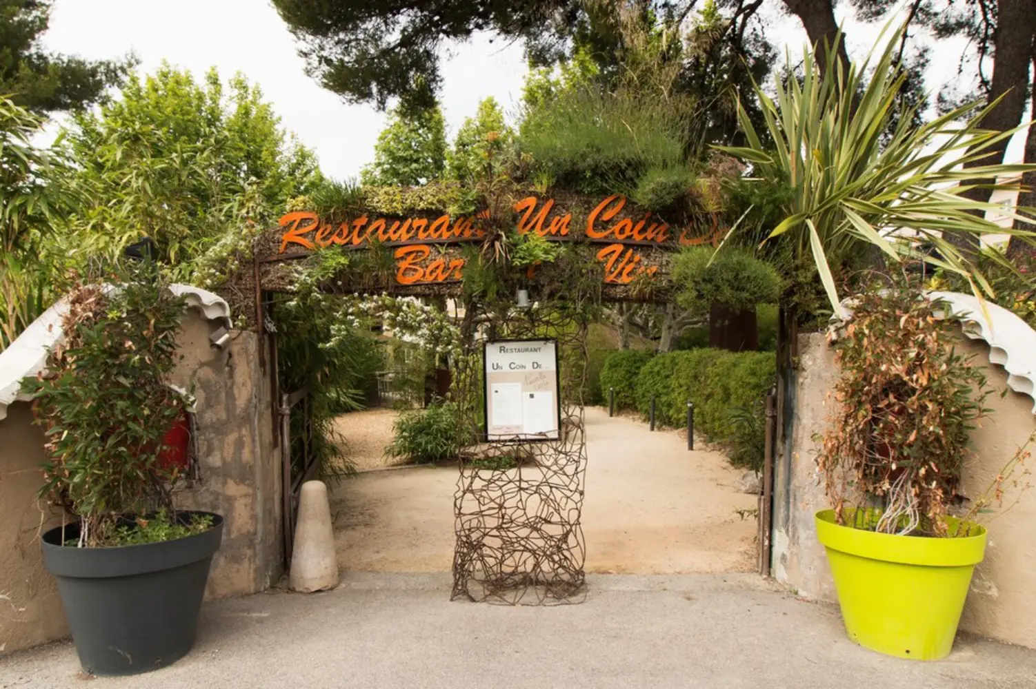 Adonis Sanary - Sanary-sur-Mer (Var)