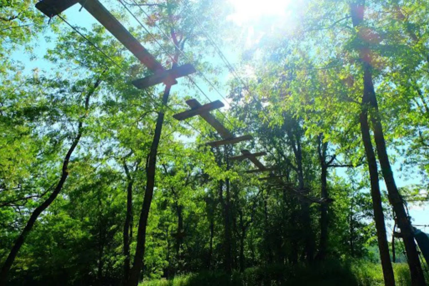 Parc Aventure Natura Game - Castelmaurou (Haute-Garonne)