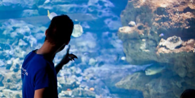 Team building - jeu de piste - Paris (75)