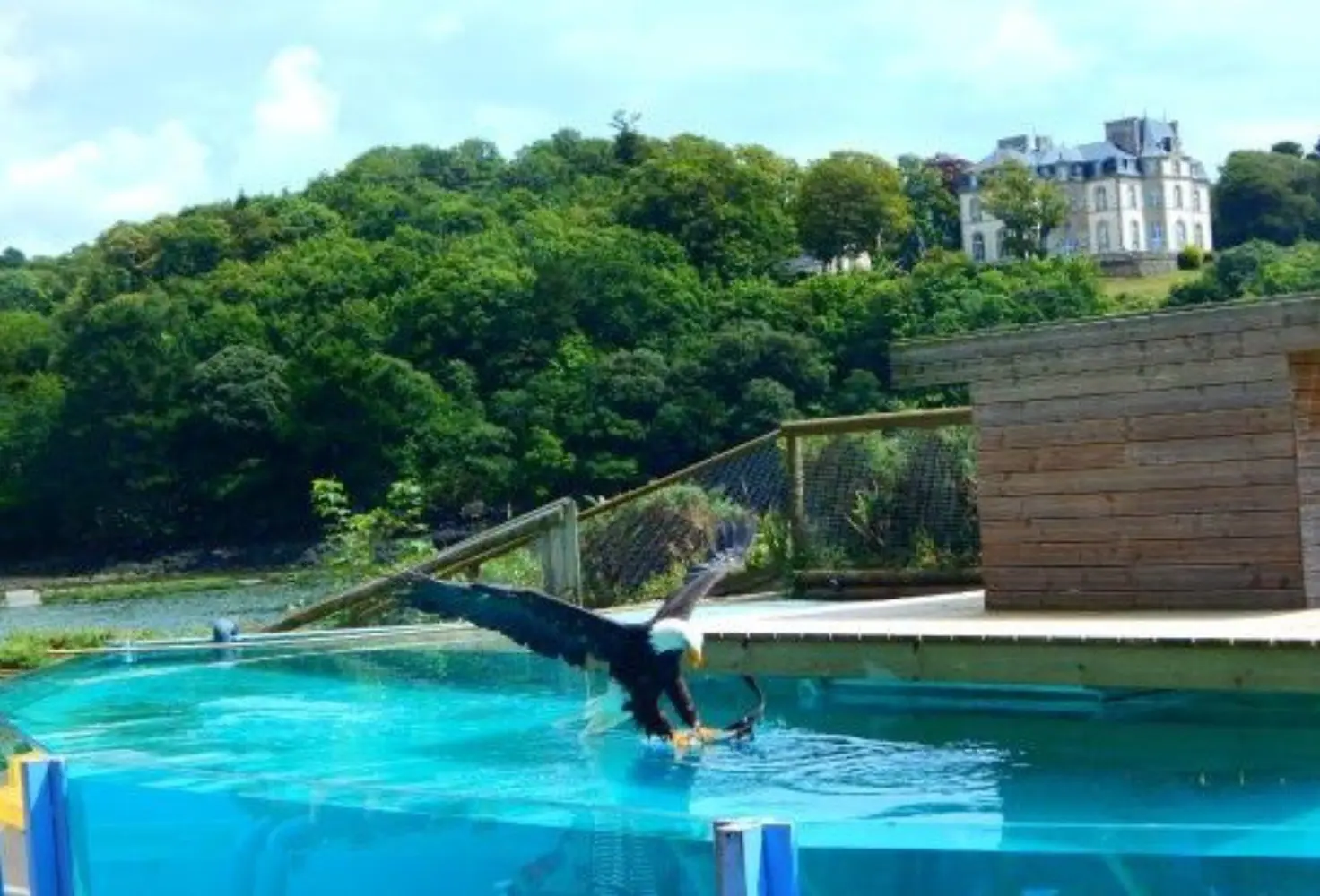 Aquashow - Audierne (Finistère)