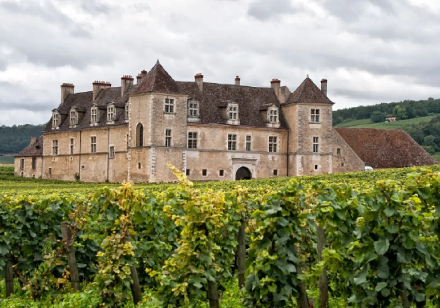 Château du Clos de Vougeot - Vougeot (Côte-d'Or)