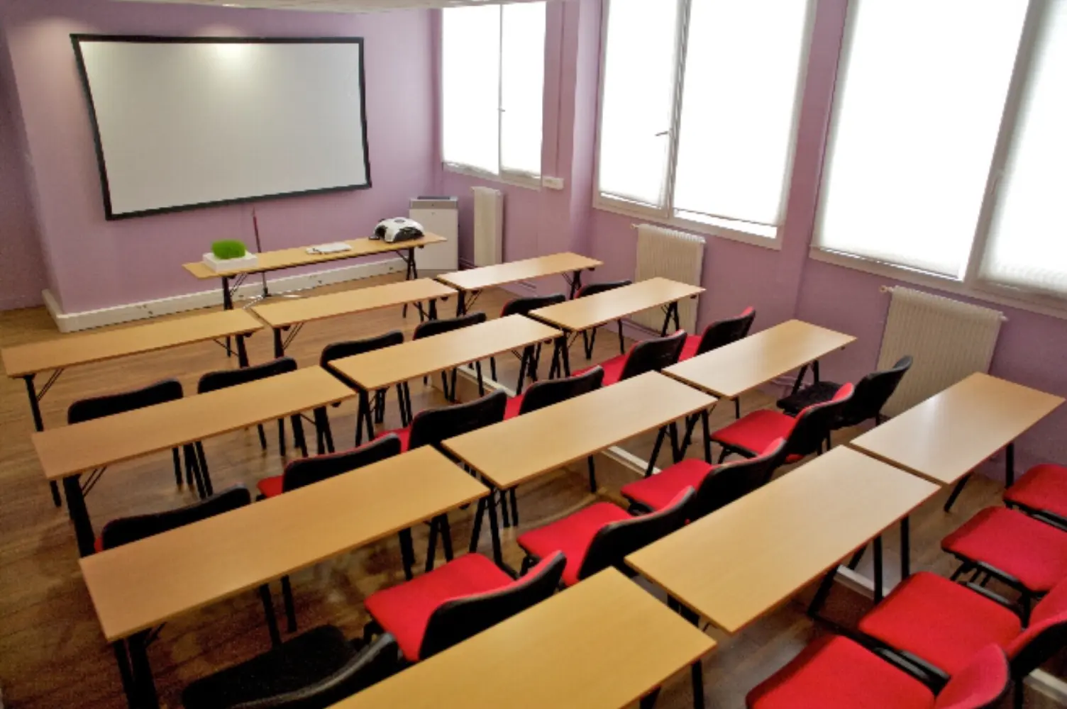 IBS Consulting - Paris (Paris)