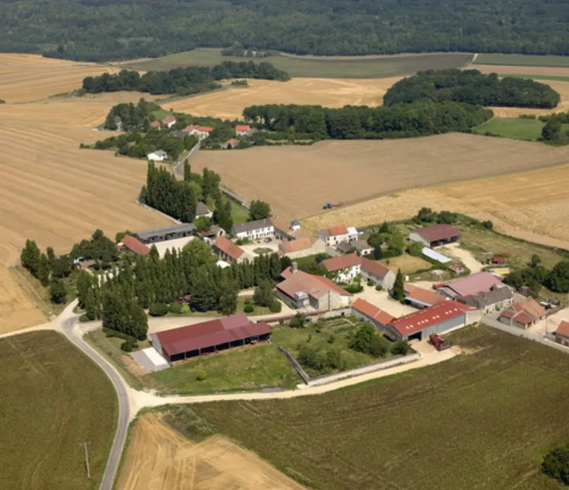 Le Colombier - Coulombs-en-Valois (Seine-et-Marne)