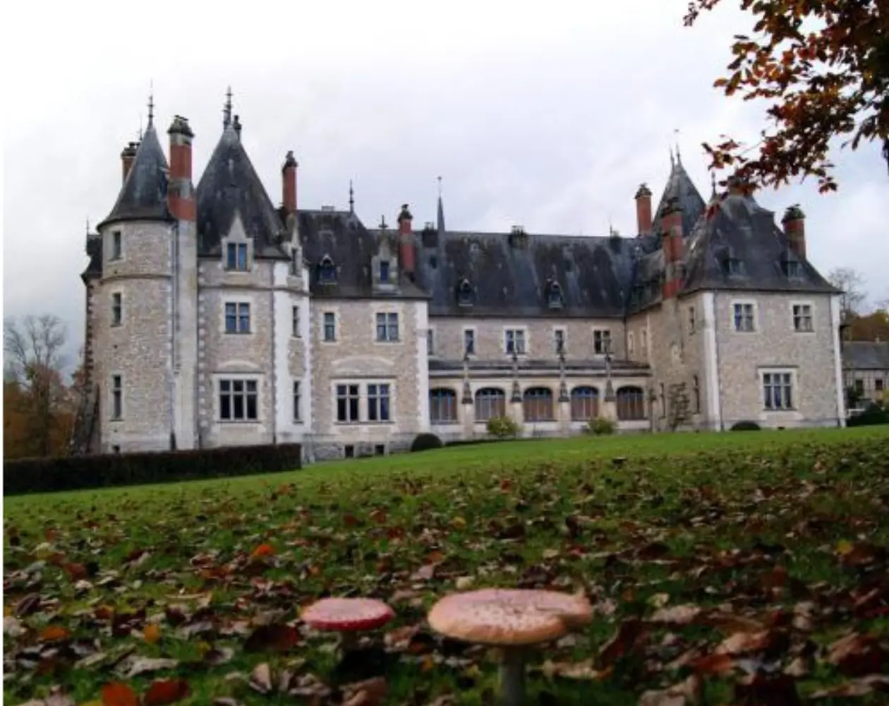 Château de la Verrerie - Oizon (Cher)