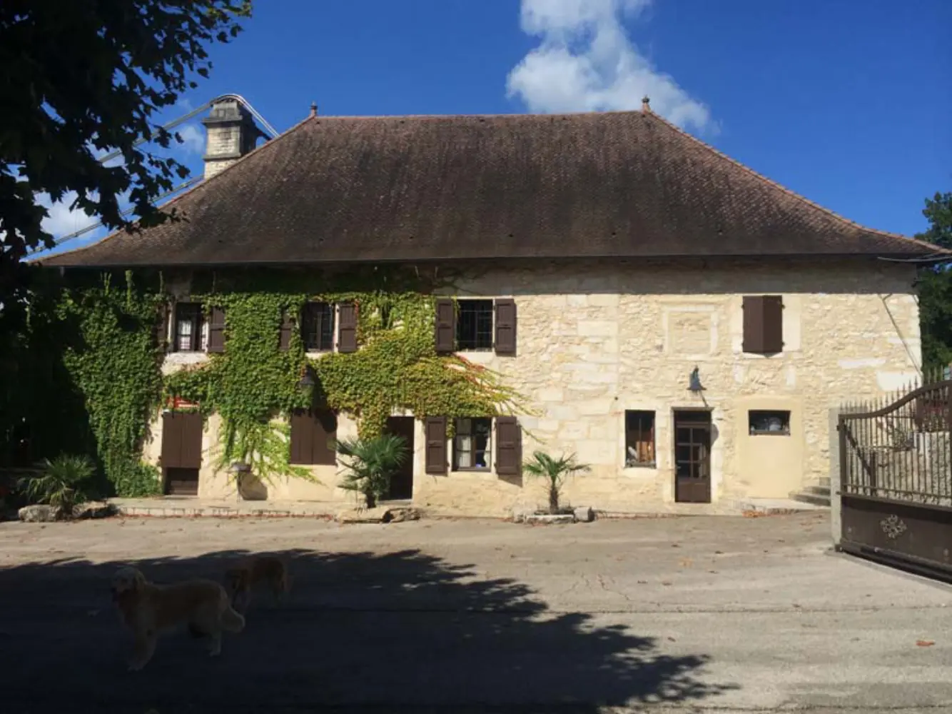 Hostellerie du Port de Groslée - Groslée (null)