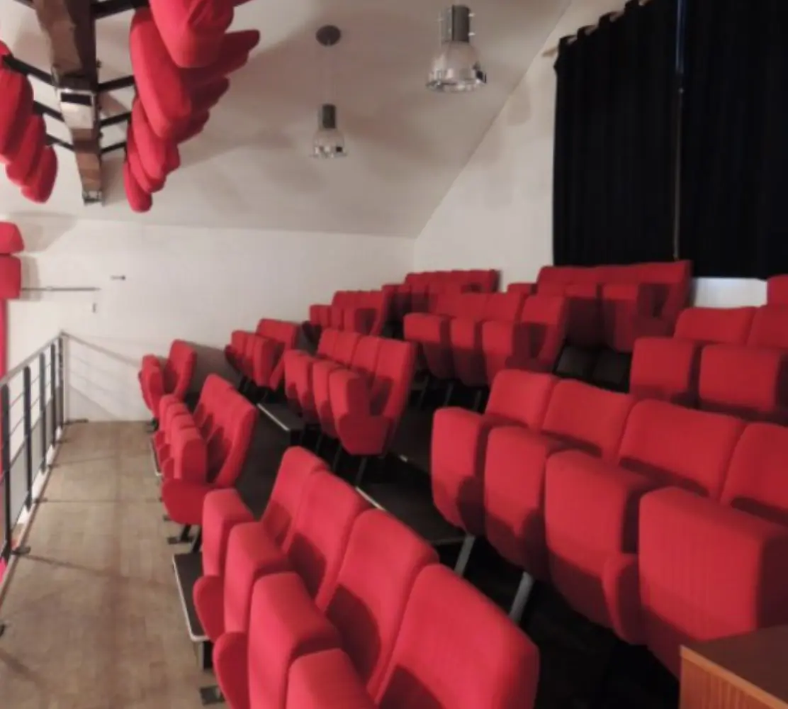 La Puce à l'Oreille - Riom (Puy-de-Dôme)