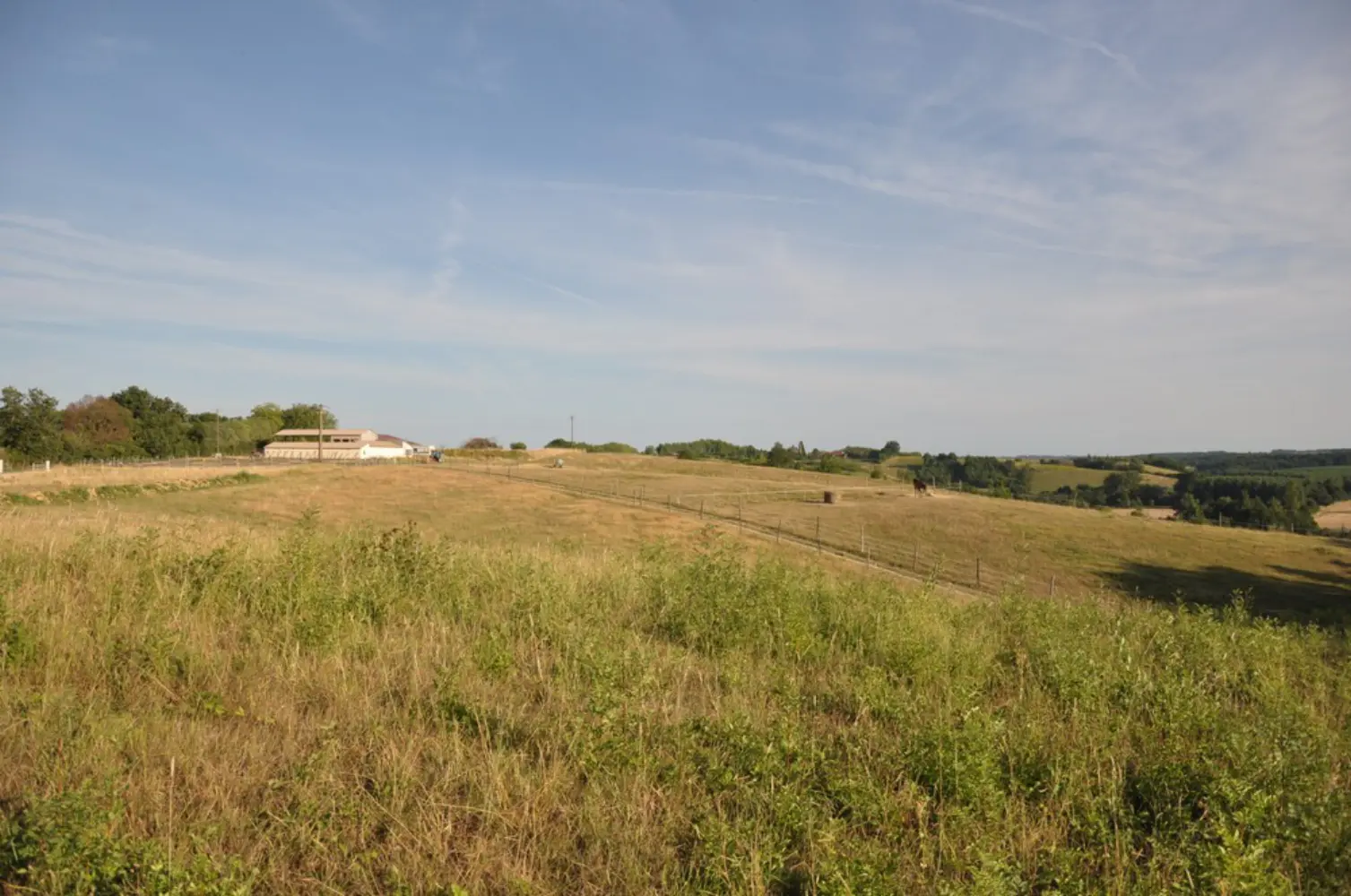 Cheval Magique - Belmont (Gers)