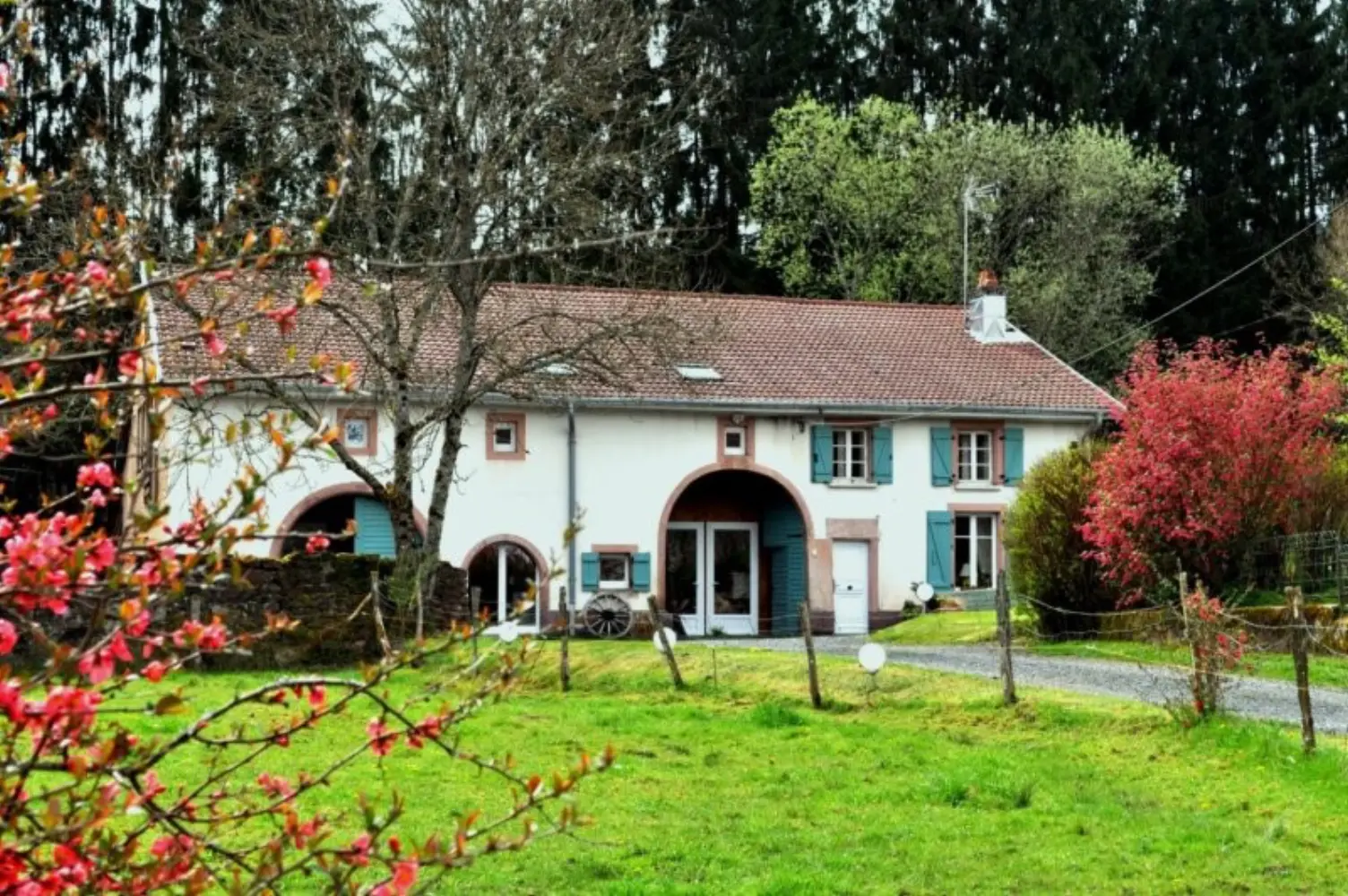 Clos du Prévert - Traintrux (Vosges)