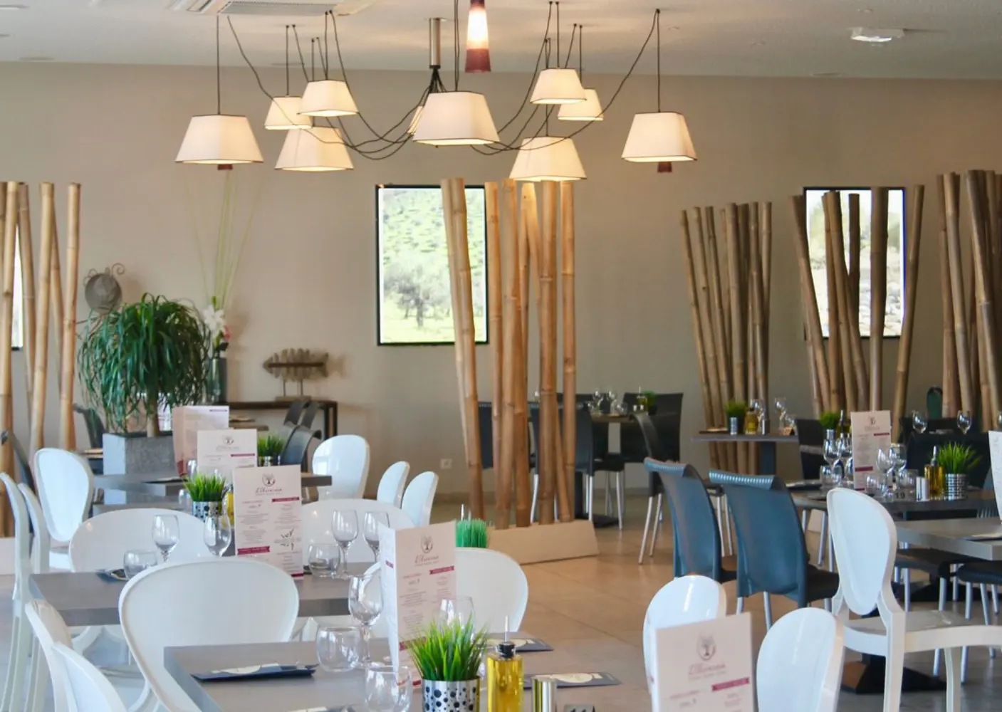 L'Oliveraie - Carcassonne (Aude)