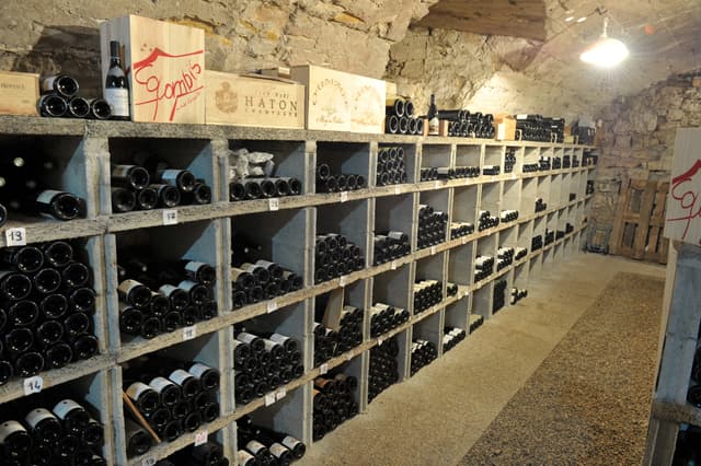 Dégustation oenologique - Vignieu (38)