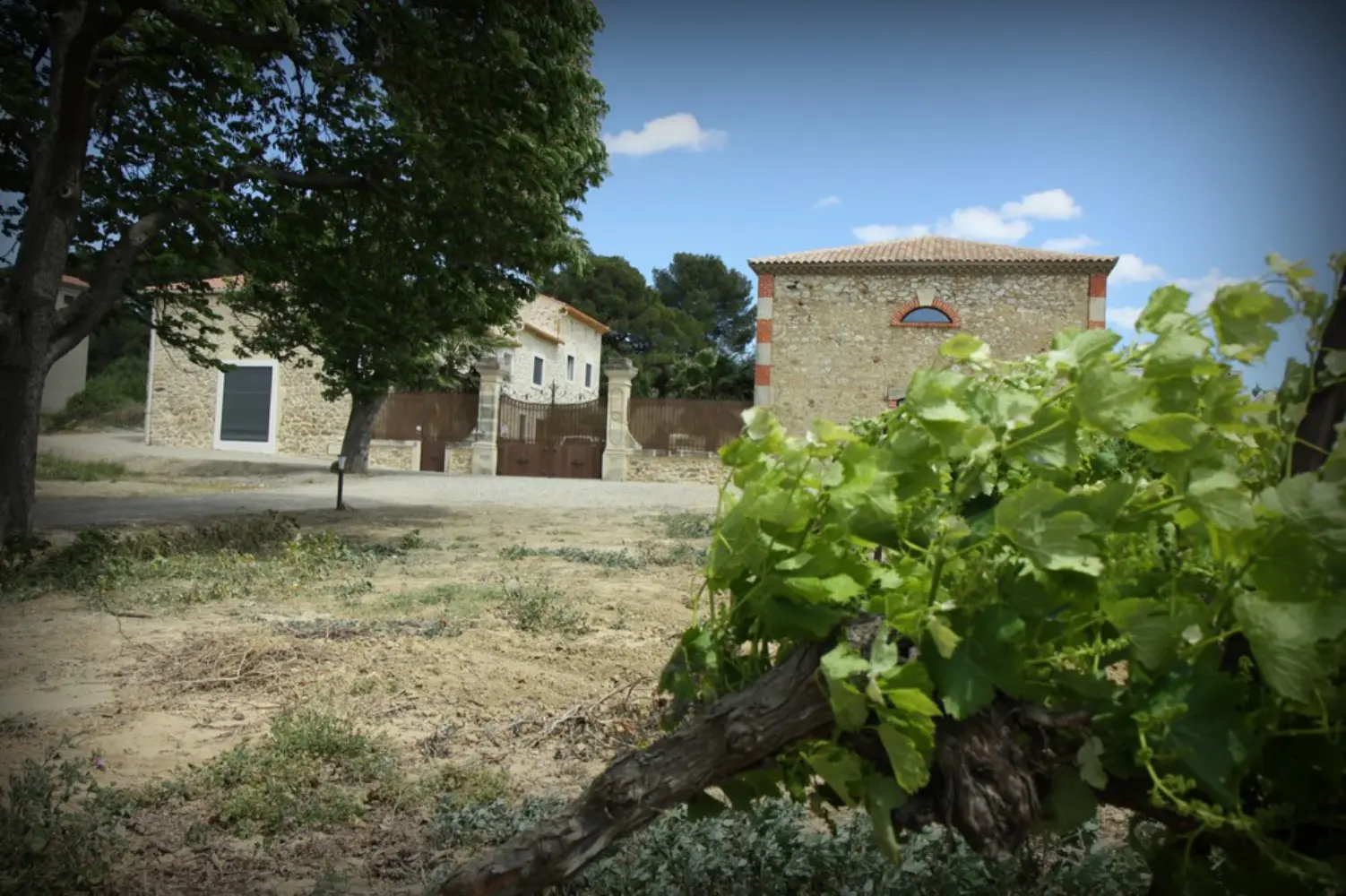 Mas de Laux - Magalas (Hérault)