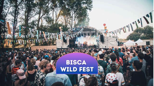 Bisca Wild Fest - Biscarrosse (40)