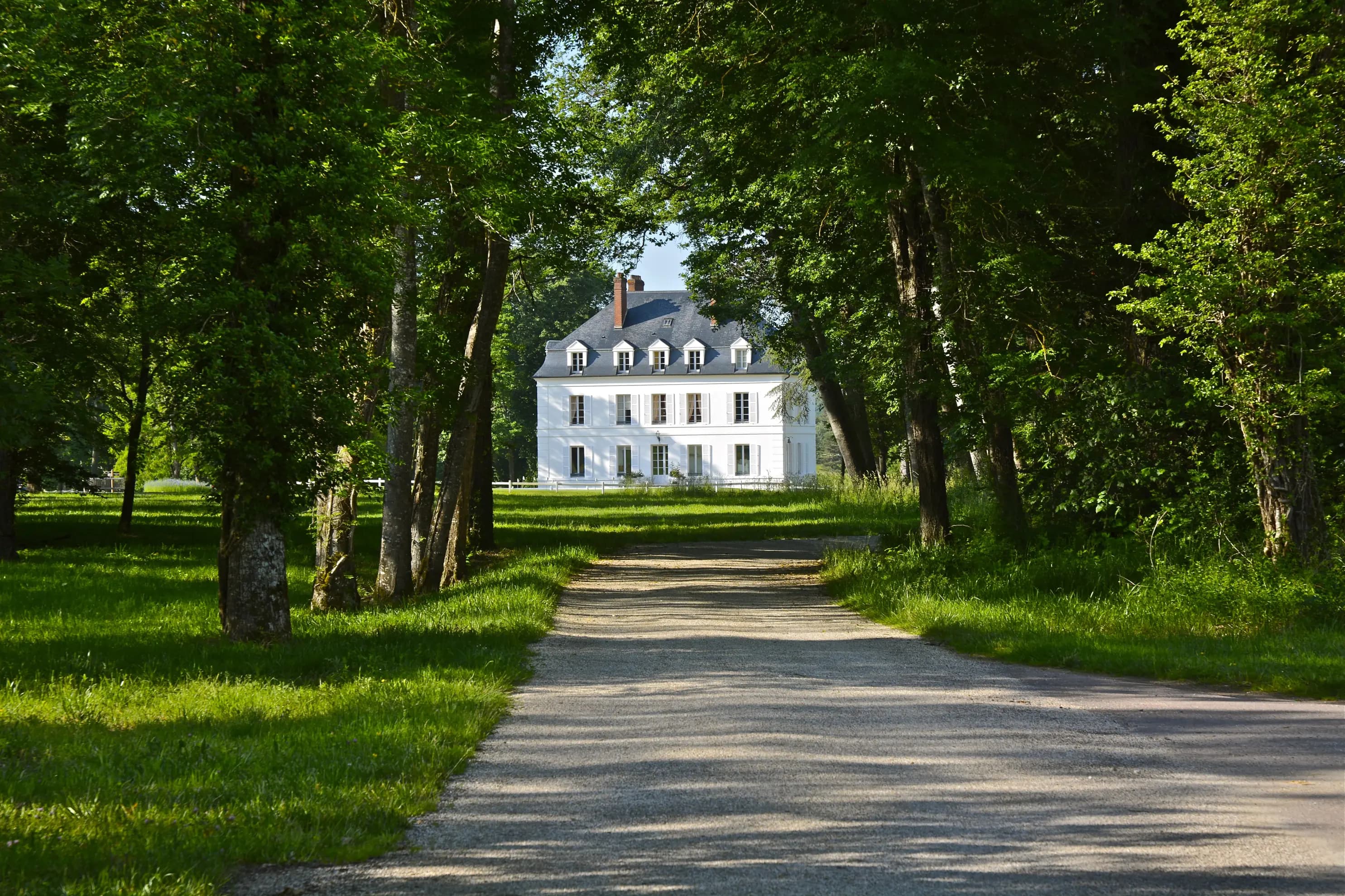 Domaine du Roncemay - Chassy (Yonne)