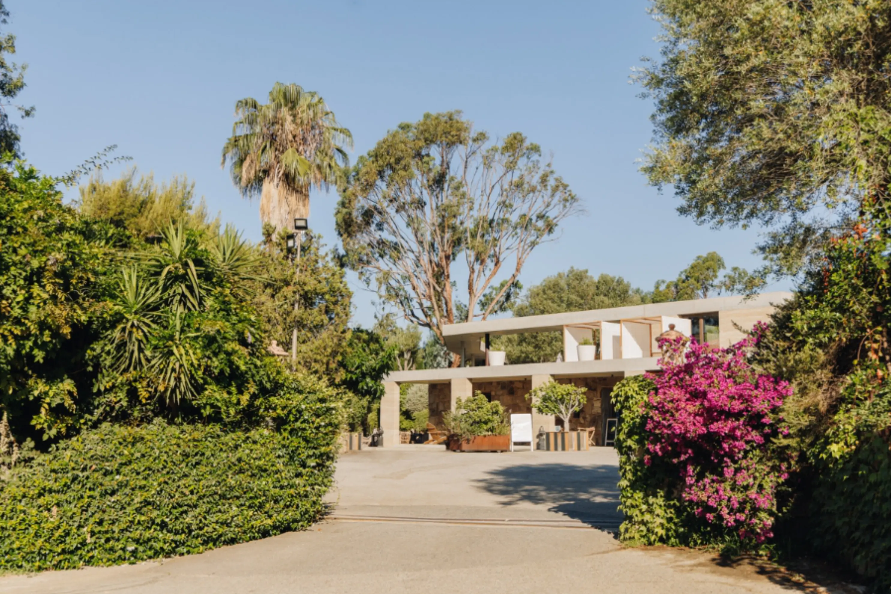 Vigna Maggiore - Olmeto (Corse 2A-2B)