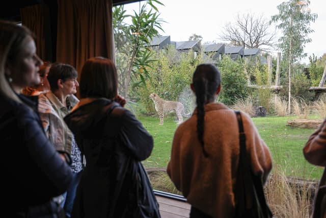 ANIMAL QUIZZ - La Flèche (72)