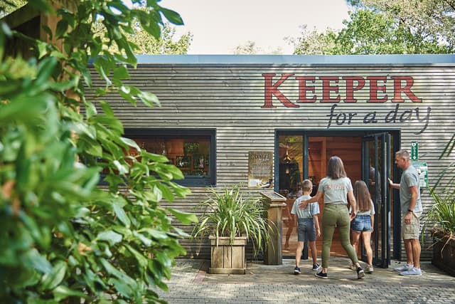 SOIGNEUR D'UN JOUR - La Flèche (72)