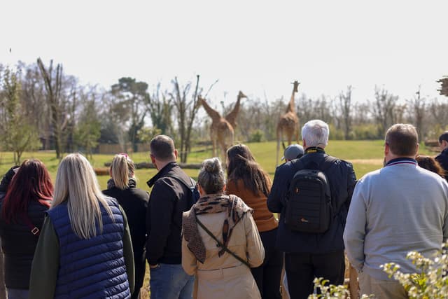 RALLYE AVENTURIER - La Flèche (72)