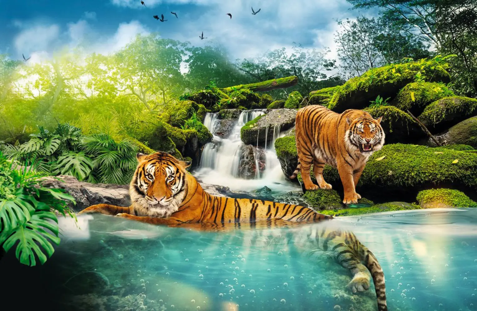 Zoo de la Flèche - La Flèche (Sarthe)