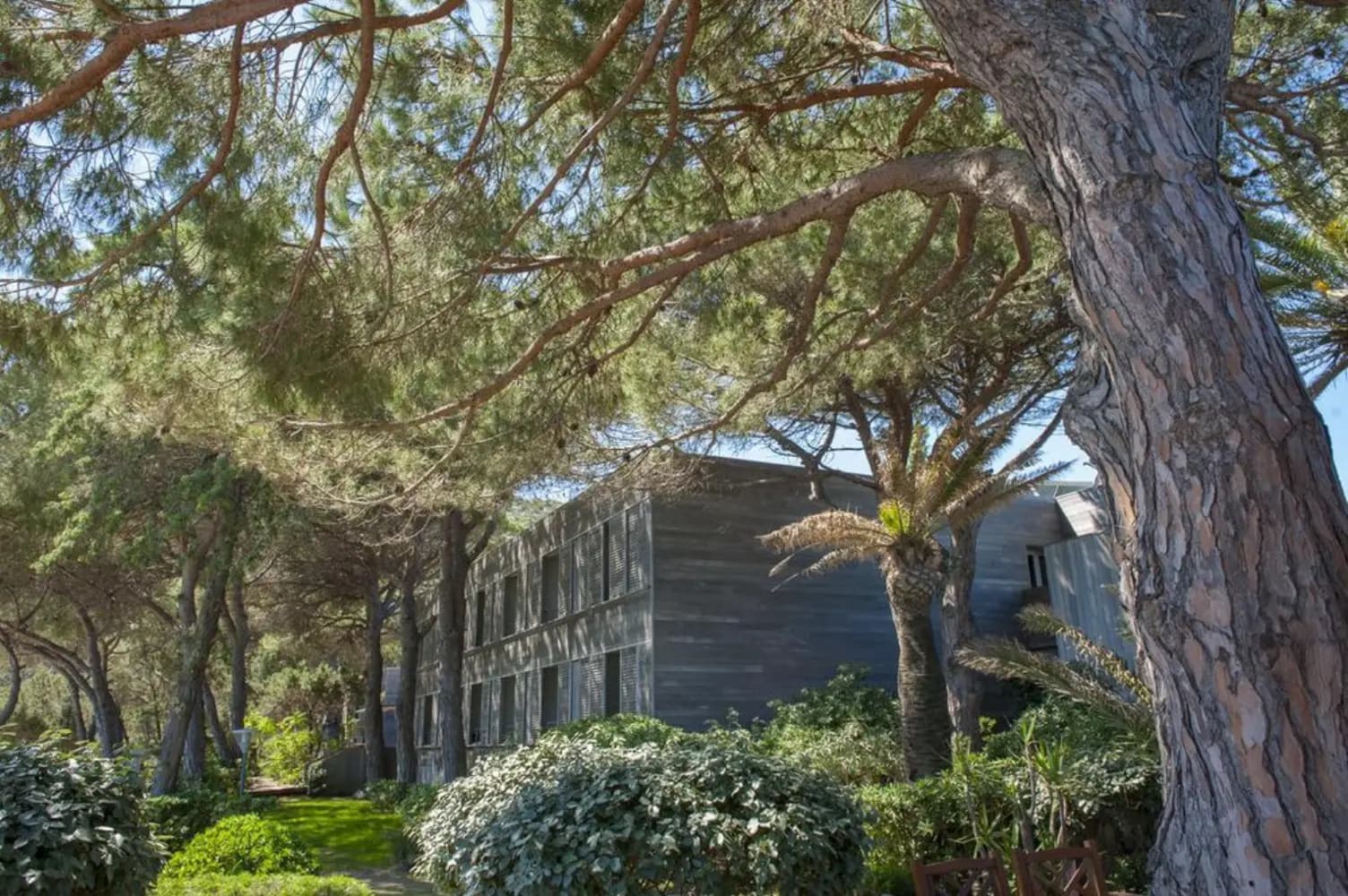 Hôtel Moby Dick - Porto-Vecchio (Corse 2A-2B)