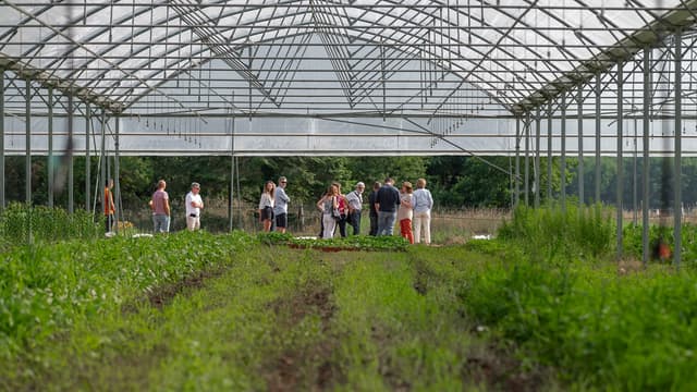 Visite de la ferme maraichère bio - Saint-Pierre-lès-Nemours (77)